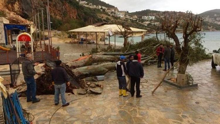 Fırtına, Kalkanda ağaçları devirdi, çatıları uçurdu