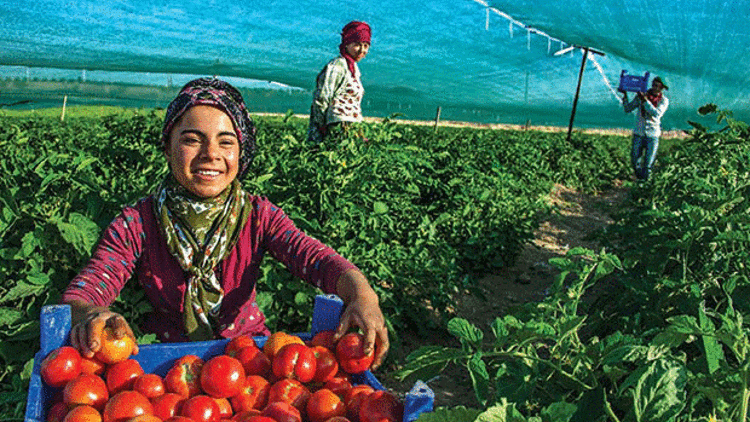 ANTALYA’DA GÖZLER TANZİM SATIŞLARDA