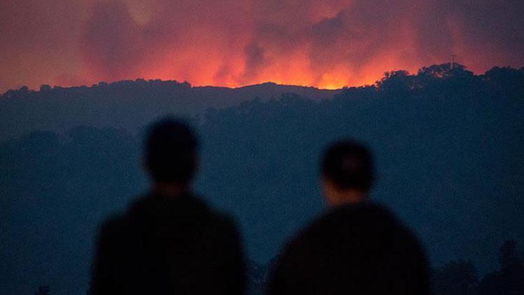 Yeni Zelandada orman yangını nedeniyle binlerce kişiyi tahliye edildi