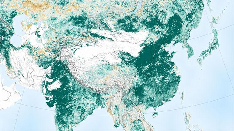 NASA: Dünya genelinde yeşil alan son 20 yılda yüzde 5 arttı