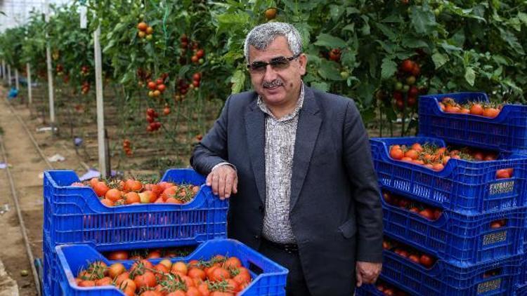 Antalyadan tanzim satış noktalarına 3 günde 1000 ton sebze gönderildi
