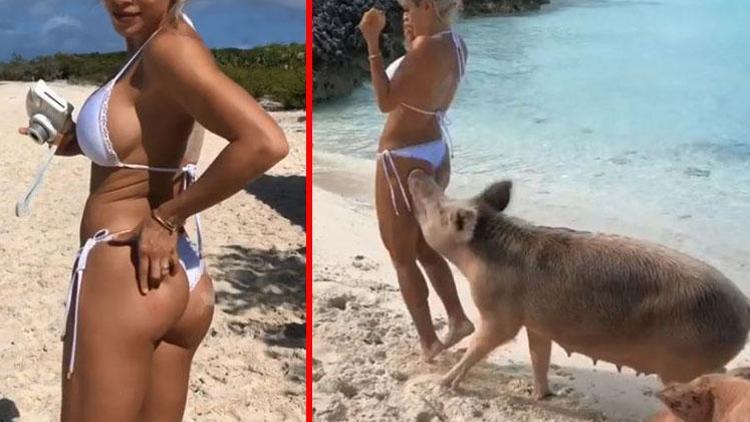 Dünyaca ünlü fitness fenomenini kalçasından domuz ısırdı
