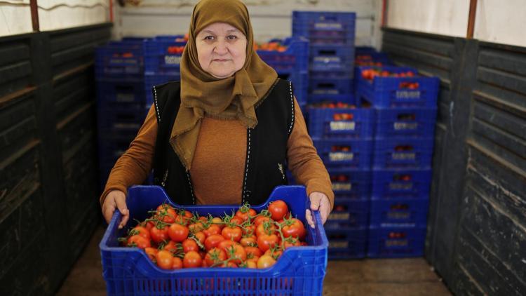 Tanzim satışlar tam gaz sürüyor