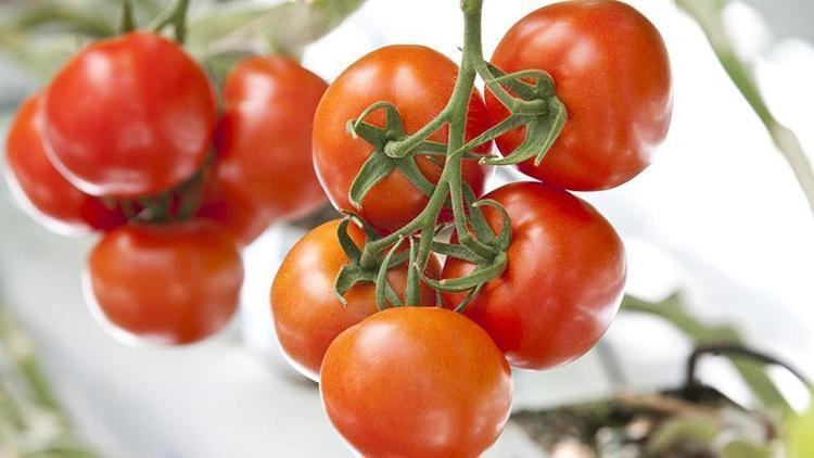 İstanbullular geçen yıl en çok domates ve patates tüketti