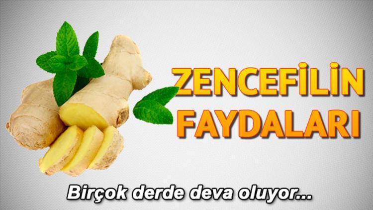 Zencefilin faydaları nelerdir Antiseptik özelliği barındırıyor