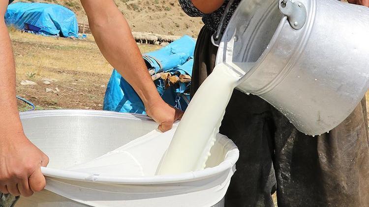 Devlet desteğiyle tesis kurdu günlük 5 ton süt üretiyor
