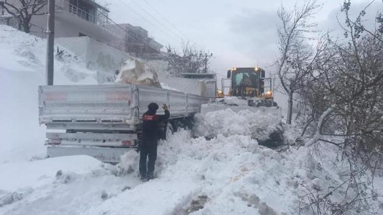 Marmara Adasında kar yağışı etkili oldu