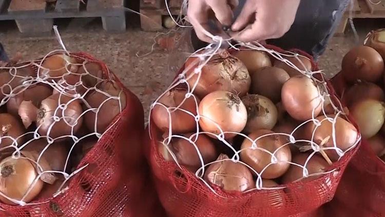 Kuru soğanda sıfır gümrük vergisinin süresi uzatıldı