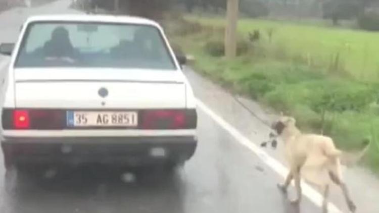 Köpeğini otomobile bağlayıp kilometrelerce koşturan sürücü hakkında işlem yapıldı