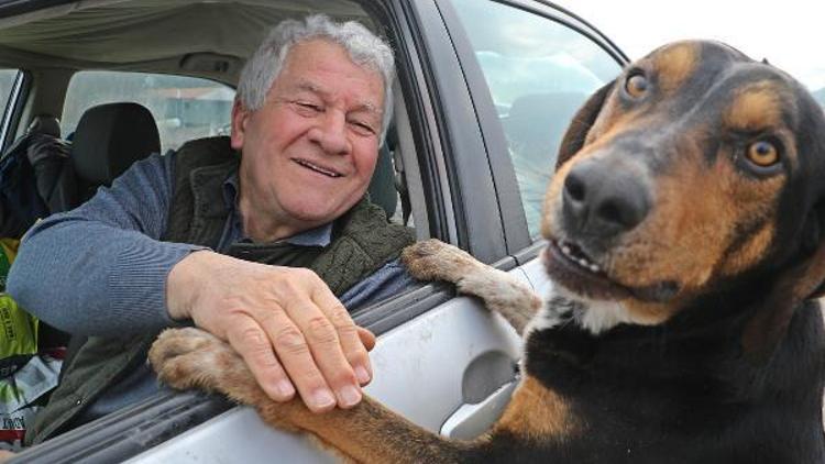 Emekli öğretmen, hayatını sokak hayvanlarına adadı