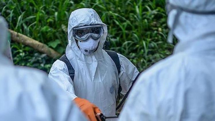 Ebola virüsü nedir Ebola virüsü belirtileri