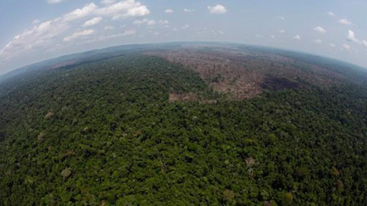 Peru, Amazon ormanlarını askerlerle koruyacak
