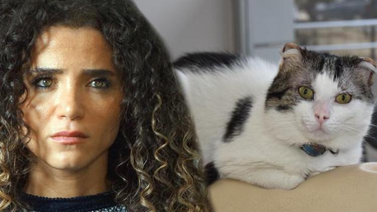 Sokak kedisini zorla eve kapatmıştı Nilay Toprak kendini böyle savundu