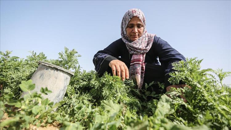 Bayraktar: Günde 16-17 saat çalışan kadın çiftçilerimiz, tarımımızın bel kemiğidir