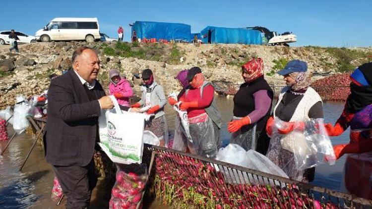 Başkan Tarhan soğuk suda çalışan kadınları unutmadı