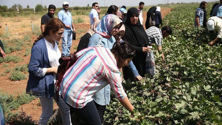 Suriyeliler tarım sektörüne kazandırılıyor