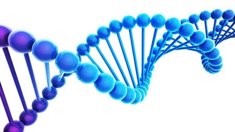 Kimliksiz cesetler için DNA veri tabanı oluşturuluyor