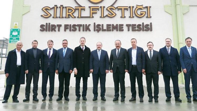 Siirt fıstığı dünyaya açılıyor