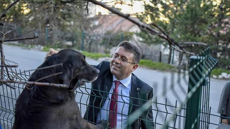 Sokak hayvanları için yaşam köyü kuracağız