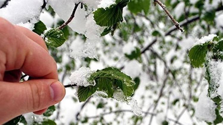 Meteorolojiden zirai don uyarısı