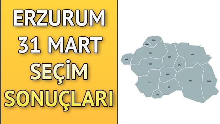 Erzurum ve ilçelerinin seçim sonuçları grafiklerle Hurriyet.com.trde