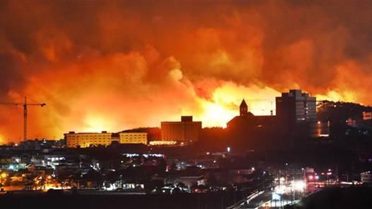 Güney Korede korkutan yangın: Ölü ve yaralılar var