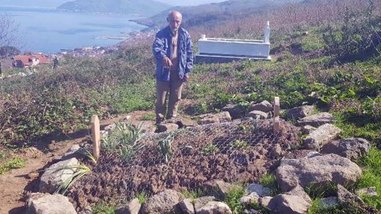 Mezarları, yaban domuzlarından tel örgüyle koruyorlar