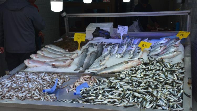 Karadenizde balık sezonu bereketli bitiyor