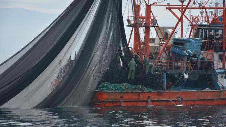 Sinoplu balıkçılar, av sezonunu kapattı