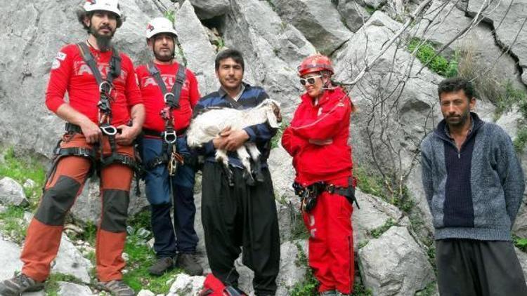 Mahsur kalan 3 keçi 6 saatte kurtarıldı
