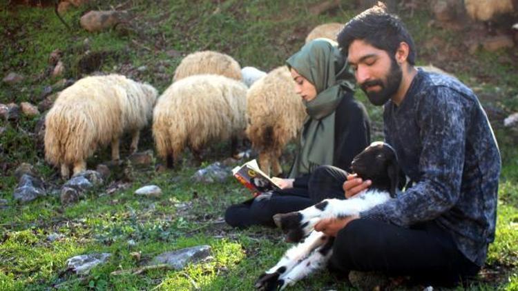 Genç Çiftçi projesiyle 20 koyun alan lise mezunu çift çobanlık yapıyor