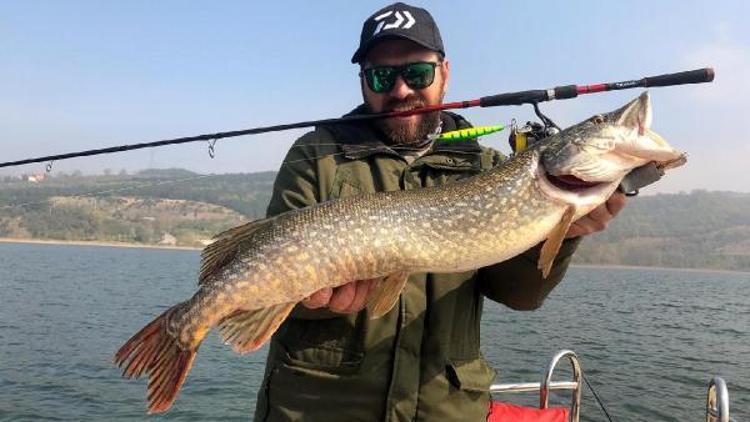 Sapanca Gölünde 1 metre boyunda turna balığı yakalandı