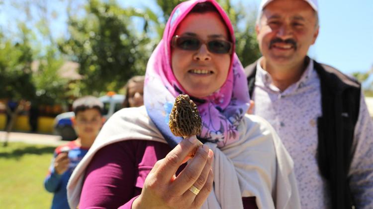 Altını solladı... Kurusu bin TLden alıcı buluyor