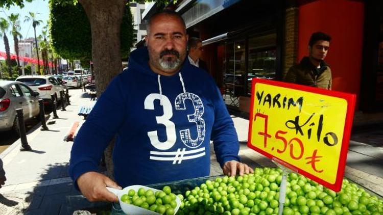 Adanada Hatay can eriği kilosu 15 TLden satılıyor
