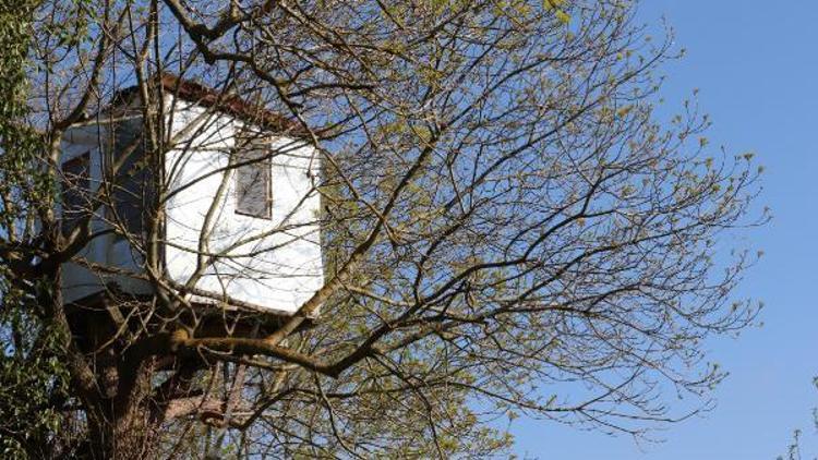 Bahçesine 9 metre yüksekte ağaç ev yaptı