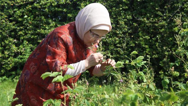 Emine Erdoğan, Nezahat Gökyiğit Botanik Bahçesini ziyaret etti