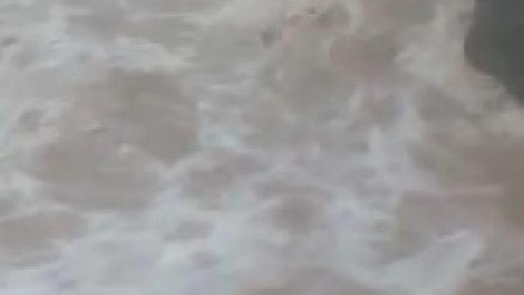 Karakoçanda 4 inek sel suyuna kapıldı