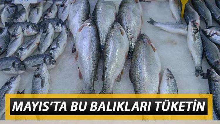 Mayısta yenilmesi gereken balıklar neler Mayıs ayında hangi balıklar yenir