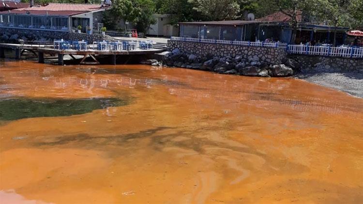 Bursada deniz kızıla boyandı, uzmanlar açıkladı