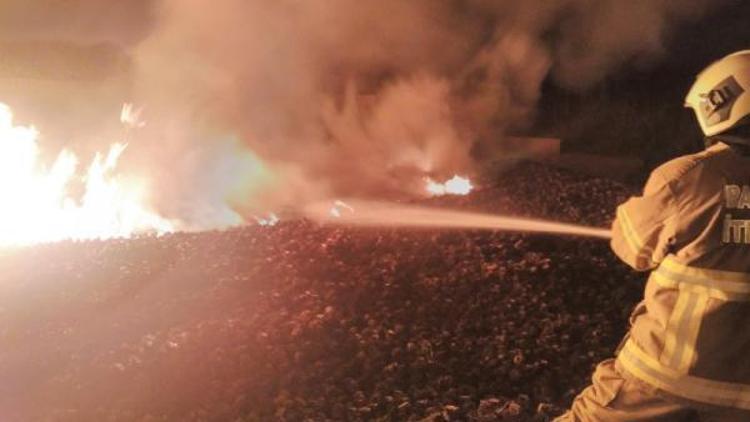 Burhaniye Orman İşletme Şefliği deposunda yangın