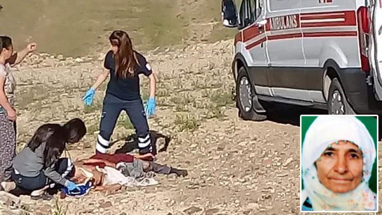 Elazığda korkunç olay Köpeklerin saldırısına uğrayan yaşlı kadın öldü