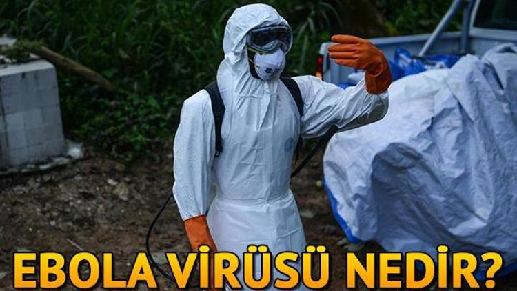 Ebola virüsü nedir Ebola hastalığı nasıl anlaşılır