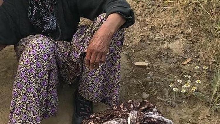 Kayıp alzheimer hastası kadın, 20 saat sonra ormanda bulundu