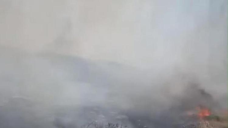 İzmir’de otluk alan yangını