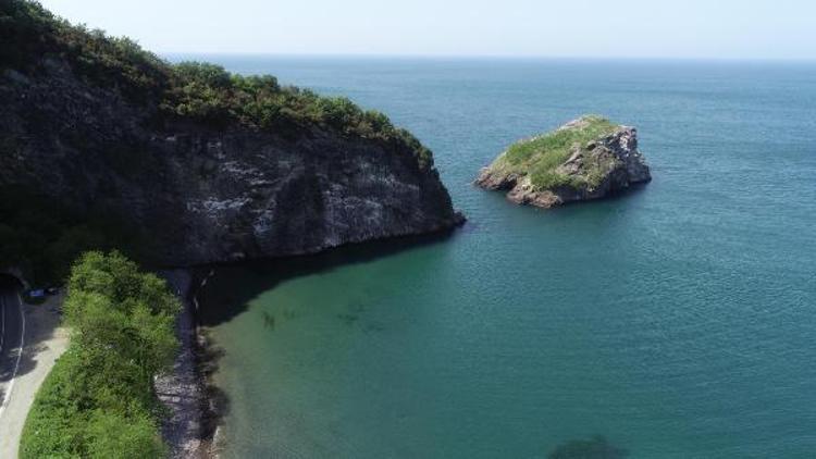 Karadenizdeki Hoynat Adası, kuşların yaşam alanı