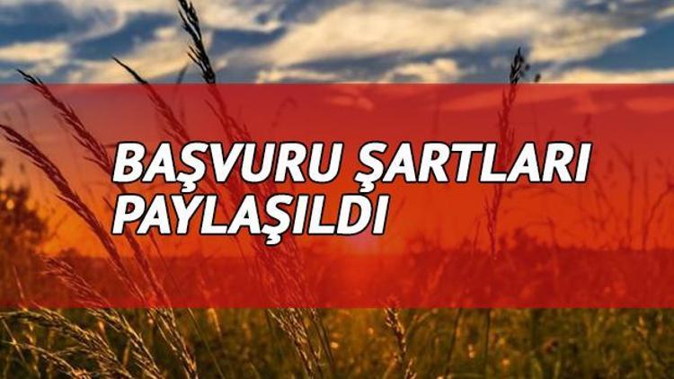 Tarım Kredi Kooperatifi personel alımı ilanı yayımladı - Başvurular ne zaman