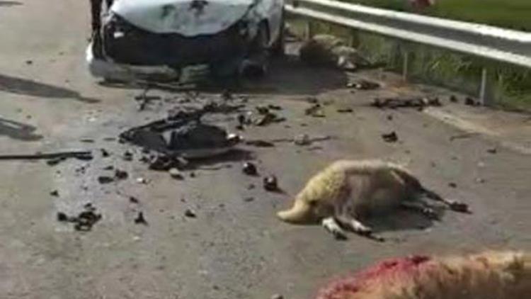 Uyuşturucu tacirleri polisten kaçtı sürüye daldı