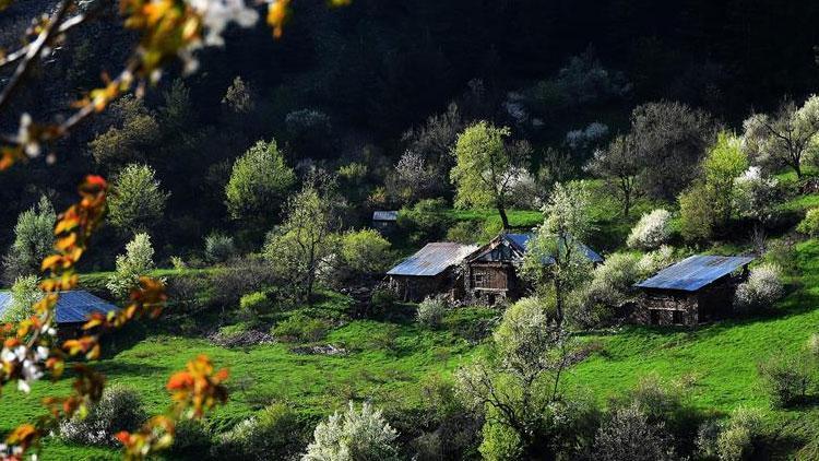 Bayram tatilinde doğaseverlerin rotası: Doğu Karadeniz