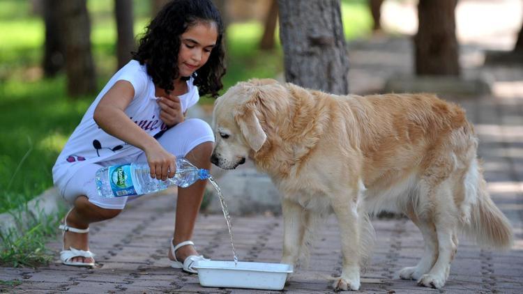 Zorlu mücadelede destek olalım