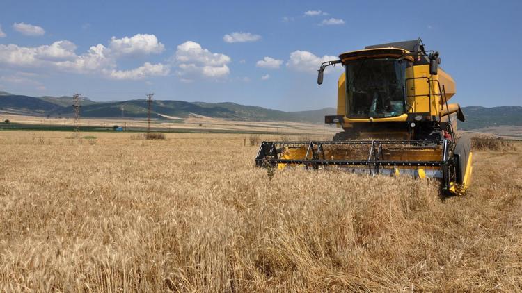 Gaziantepte buğday hasadına başlandı